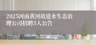 2025河南黄河故道水生态治理公司招聘3人公告