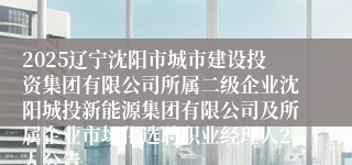 2025辽宁沈阳市城市建设投资集团有限公司所属二级企业沈阳城投新能源集团有限公司及所属企业市场化选聘职业经理人2人公告