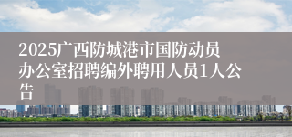 2025广西防城港市国防动员办公室招聘编外聘用人员1人公告