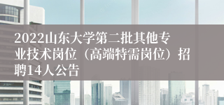 2022山东大学第二批其他专业技术岗位（高端特需岗位）招聘14人公告