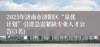 2025年济南市济阳区“泉优计划”引进急需紧缺专业人才公告(3名)