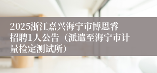 2025浙江嘉兴海宁市博思睿招聘1人公告（派遣至海宁市计量检定测试所）