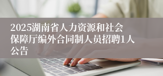 2025湖南省人力资源和社会保障厅编外合同制人员招聘1人公告