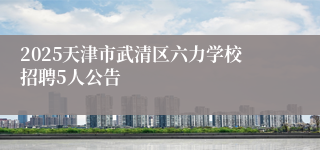 2025天津市武清区六力学校招聘5人公告