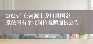 2025广东河源市龙川县国资系统国有企业岗位竞聘面试公告