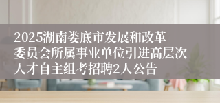 2025湖南娄底市发展和改革委员会所属事业单位引进高层次人才自主组考招聘2人公告