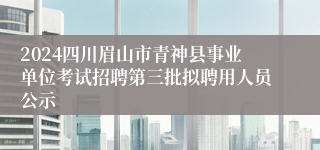 2024四川眉山市青神县事业单位考试招聘第三批拟聘用人员公示