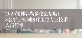 2025锡林郭勒多伦县招聘13名事业编制医疗卫生专业技术人员简章