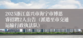 2025浙江嘉兴市海宁市博思睿招聘2人公告（派遣至市交通运输行政执法队）