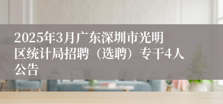 2025年3月广东深圳市光明区统计局招聘（选聘）专干4人公告