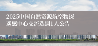 2025中国自然资源航空物探遥感中心交流选调1人公告