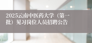 2025云南中医药大学（第一批）见习岗位人员招聘公告