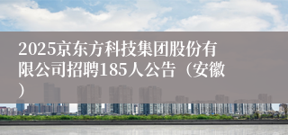 2025京东方科技集团股份有限公司招聘185人公告（安徽）