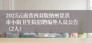 2025云南省西双版纳州景洪市小街卫生院招聘编外人员公告（2人）