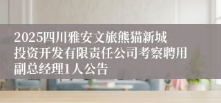 2025四川雅安文旅熊猫新城投资开发有限责任公司考察聘用副总经理1人公告