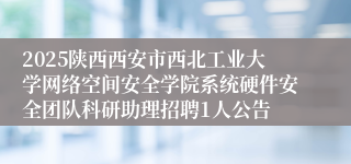 2025陕西西安市西北工业大学网络空间安全学院系统硬件安全团队科研助理招聘1人公告