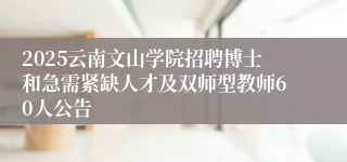 2025云南文山学院招聘博士和急需紧缺人才及双师型教师60人公告