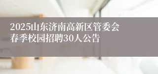 2025山东济南高新区管委会春季校园招聘30人公告