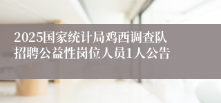 2025国家统计局鸡西调查队招聘公益性岗位人员1人公告
