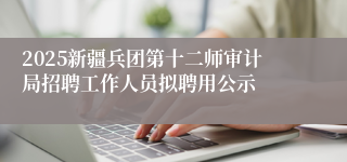 2025新疆兵团第十二师审计局招聘工作人员拟聘用公示