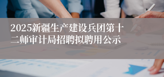 2025新疆生产建设兵团第十二师审计局招聘拟聘用公示