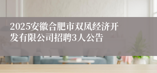 2025安徽合肥市双凤经济开发有限公司招聘3人公告