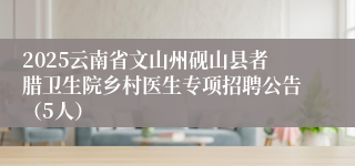 2025云南省文山州砚山县者腊卫生院乡村医生专项招聘公告（5人）