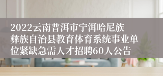 2022云南普洱市宁洱哈尼族彝族自治县教育体育系统事业单位紧缺急需人才招聘60人公告