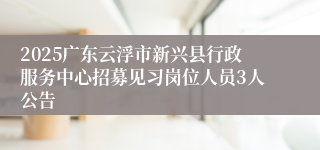 2025广东云浮市新兴县行政服务中心招募见习岗位人员3人公告