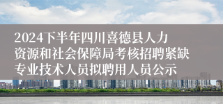 2024下半年四川喜德县人力资源和社会保障局考核招聘紧缺专业技术人员拟聘用人员公示