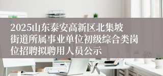2025山东泰安高新区北集坡街道所属事业单位初级综合类岗位招聘拟聘用人员公示