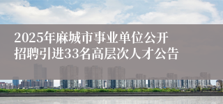2025年麻城市事业单位公开招聘引进33名高层次人才公告