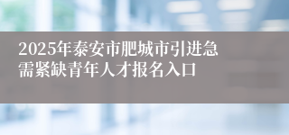 2025年泰安市肥城市引进急需紧缺青年人才报名入口