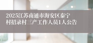 2025江苏南通市海安区泰宁村招录村三产工作人员1人公告