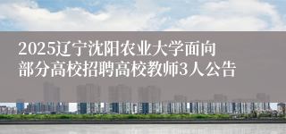 2025辽宁沈阳农业大学面向部分高校招聘高校教师3人公告