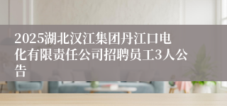 2025湖北汉江集团丹江口电化有限责任公司招聘员工3人公告
