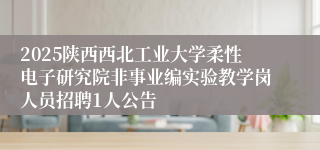 2025陕西西北工业大学柔性电子研究院非事业编实验教学岗人员招聘1人公告