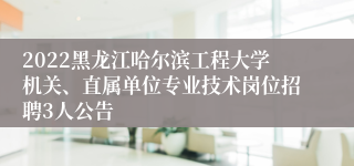 2022黑龙江哈尔滨工程大学机关、直属单位专业技术岗位招聘3人公告