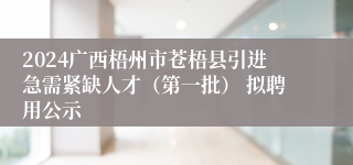 2024广西梧州市苍梧县引进急需紧缺人才（第一批） 拟聘用公示
