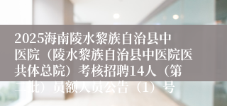2025海南陵水黎族自治县中医院（陵水黎族自治县中医院医共体总院）考核招聘14人（第二批）员额人员公告（1）号