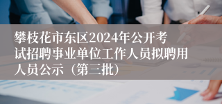 攀枝花市东区2024年公开考试招聘事业单位工作人员拟聘用人员公示（第三批）