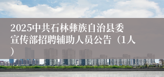2025中共石林彝族自治县委宣传部招聘辅助人员公告（1人）