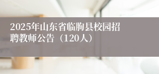 2025年山东省临朐县校园招聘教师公告（120人）