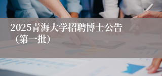 2025青海大学招聘博士公告（第一批）