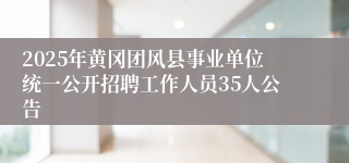 2025年黄冈团风县事业单位统一公开招聘工作人员35人公告
