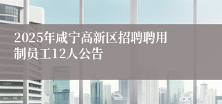 2025年咸宁高新区招聘聘用制员工12人公告