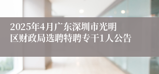2025年4月广东深圳市光明区财政局选聘特聘专干1人公告