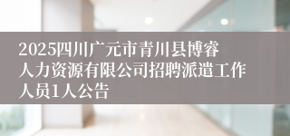 2025四川广元市青川县博睿人力资源有限公司招聘派遣工作人员1人公告