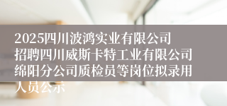 2025四川波鸿实业有限公司招聘四川威斯卡特工业有限公司绵阳分公司质检员等岗位拟录用人员公示