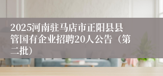 2025河南驻马店市正阳县县管国有企业招聘20人公告（第二批）